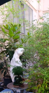 Chantal ARRAZAT-PARRAU